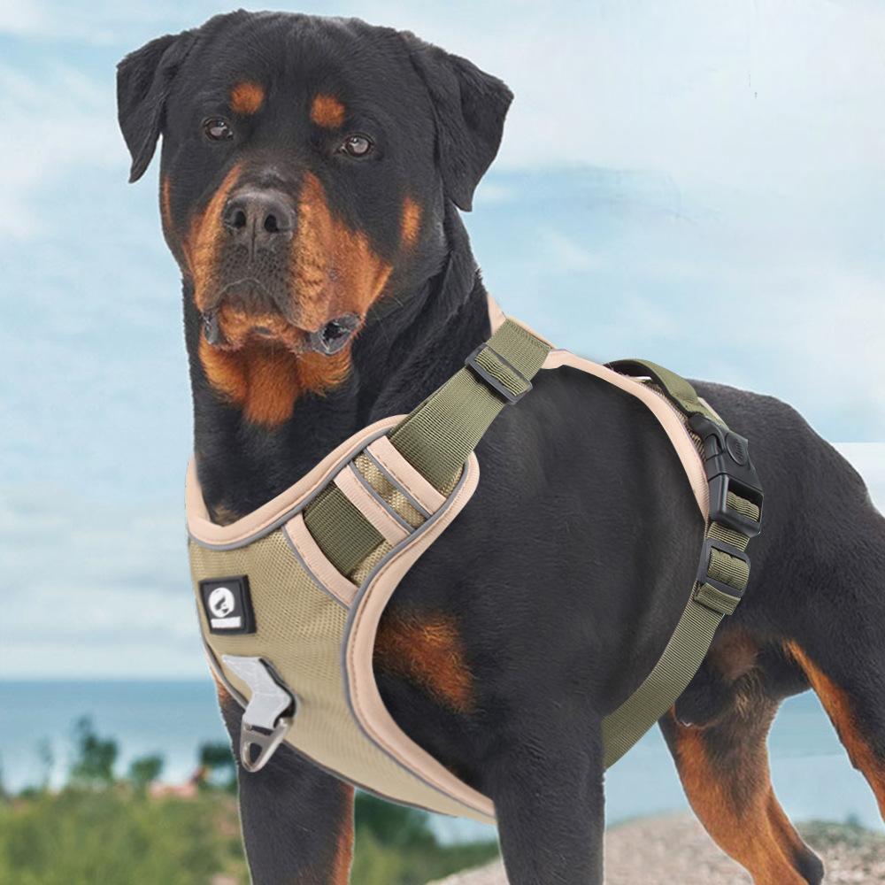 Pechera perro con correa