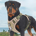 Pechera perro con correa