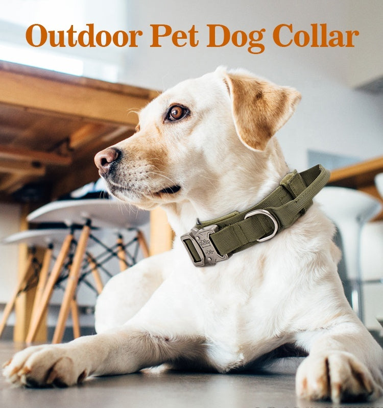 Collar K9 Para Perros